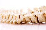 Chiropractic